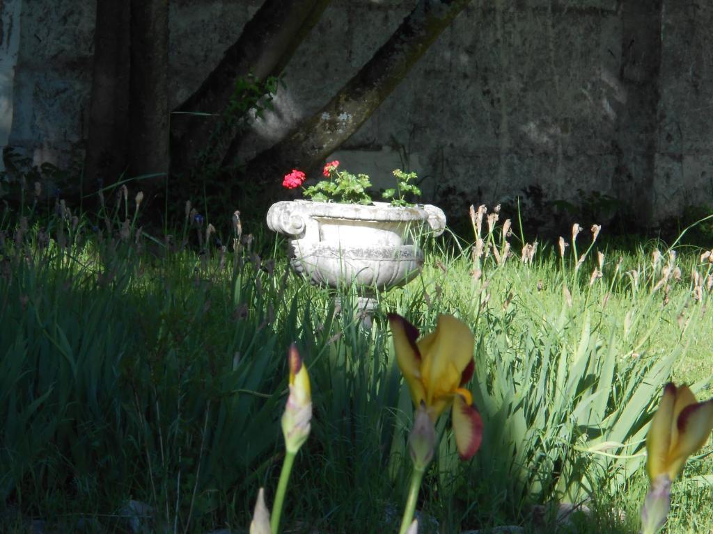 Clos Du Bois Brard B&B Saumur Exteriér fotografie