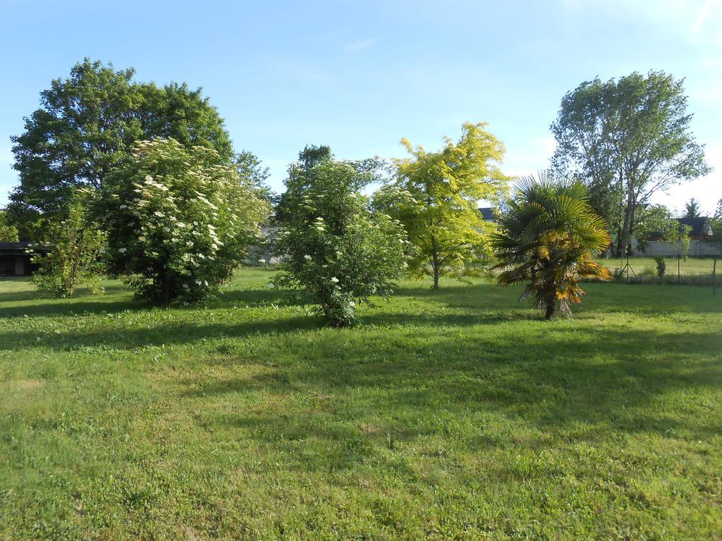 Clos Du Bois Brard B&B Saumur Exteriér fotografie