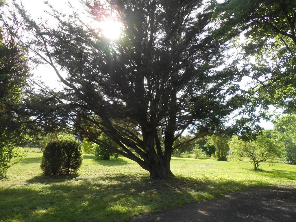 Clos Du Bois Brard B&B Saumur Exteriér fotografie