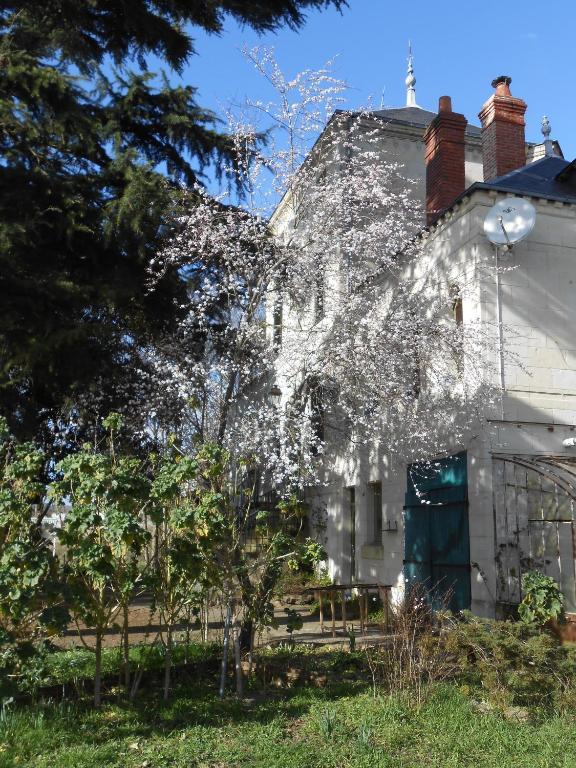 Clos Du Bois Brard B&B Saumur Exteriér fotografie