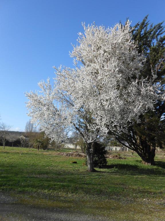 Clos Du Bois Brard B&B Saumur Exteriér fotografie